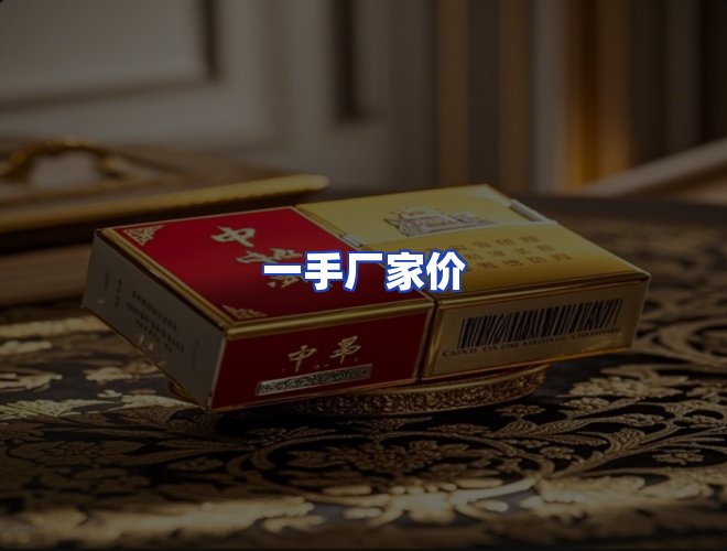 专业团队